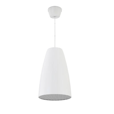 4인치 쌍방향 스피커 좋은 사운드 OEM ODM 20W/10W/5W/2.5W 매달린 스피커 흰색