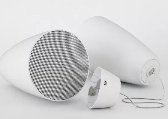 20W verstelbare kracht 4-inch 2-Way hangend luidspreker Wit plafond luidspreker