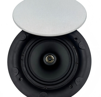 IP65 étanche à l'eau 5 pouces ABS haut-parleur au plafond coaxial 20W 100V enceinte scellée pour salle de bain spa piscine intérieure