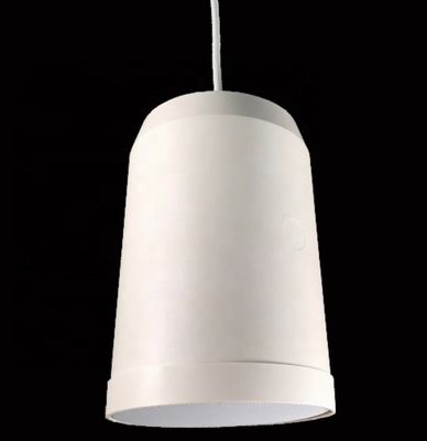Good price IP55 Full Range Hanging Speaker 5 Inch Commercial Pendant Speakers 2m Line online