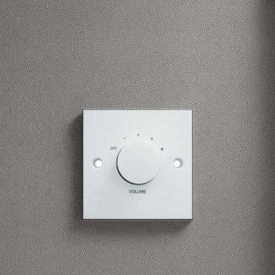 Bon prix Contrôle audio de 30W Montage mural Contrôleur de volume Ajustement de l'amplificateur sonore en ligne