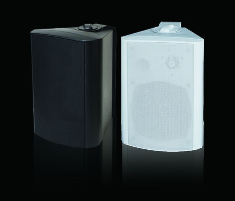 Bon prix ABS 100V haut-parleurs muraux 4