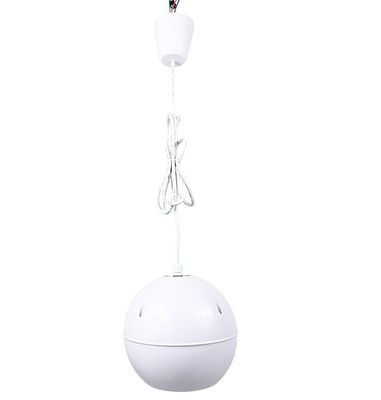 Bon prix Haut-parleurs suspendus 5W 2.5W, pendentifs, 5 pouces, ABS, pour plafond en ligne