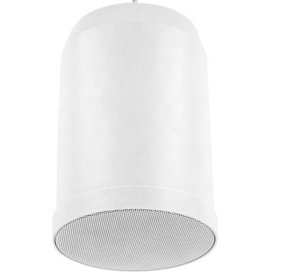 Bon prix Haut-parleur suspendu 6 pouces 100V IP55 Haut-parleur extérieur suspendu 10W 20W en ligne