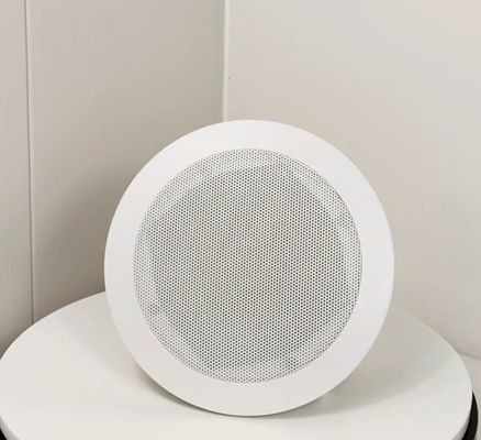 Bon prix 6 pouces haut-parleur coaxial 30W haut-parleur de plafond commercial OEM ODM haut-parleur en ligne