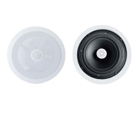 CL-346V haut-parleur au plafond coaxial de 6 pouces 30W haut-parleur au plafond commercial pour restaurant et hôtel
