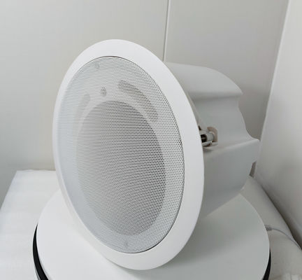 Bon prix OEM ODM haut-parleur de plafond 30W haut-parleur coaxial ABS Bon son en ligne