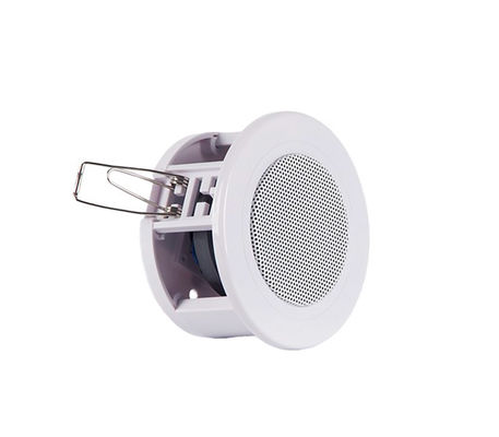 Goede prijs. 3 inch 6W plafond luidspreker voor badkamer ziekenhuis ABS waterdicht luidspreker online