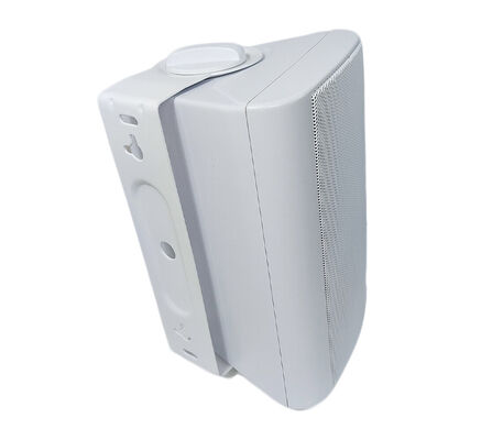 Prezzo buono Altoparlante da parete Hi-fi da 40W 100V, woofer da 6 pollici, resistente, materiale ABS CE, OEM ODM per hotel, ufficio, negozio, sala riunioni in linea