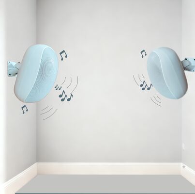 Bon prix 40w / 20w / 10w / 5w 6 pouces Commercial Audio Logo Personnalisation haut-parleur étanche OEM ODM Utilisation extérieure haut-parleur Bluetooth Option en ligne