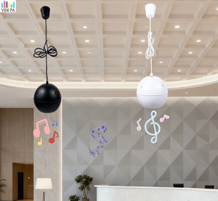 Prezzo buono 10w / 5w / 2.5w altoparlante pendente altoparlante 5 pollici altoparlante ABS HiFi Buono suono per l'hotel stazione aeroportuale in linea