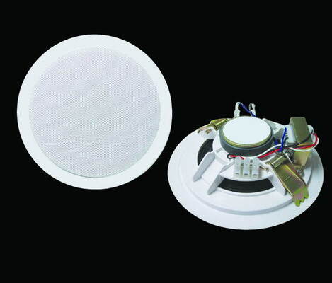 6 Watt 6 Inch 100V Ceiling Speaker ABS Material PA System Good Quality Loudspeaker for Office School Room
