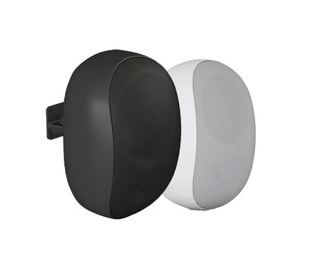 Good price 5-inch 30W/15W/7.5W/3.75W Waterproof Speaker Commercial Audio Bluetooth Function Logo Customization Factory Direct Sale online