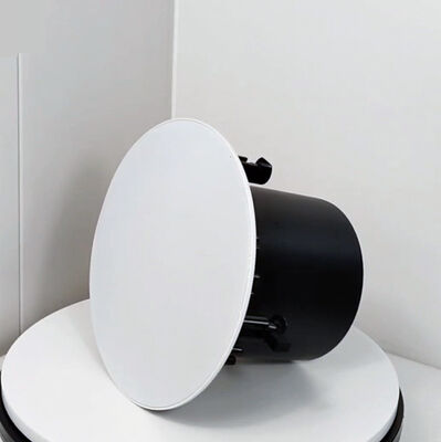 Goede prijs. 40W 100V 8-inch Commercial Audio Coaxial Speaker Public Address System Iron OEM ODM Aanpassing online